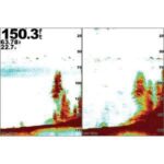 GARMIN GSD- 25 Advanced Sonar Module, dual-channel 1 kW CHIRP, plus Garmin CHIRP DownVü and SideVü sonar scanning – Sonar Black Box | Marine Overhauling Florida
