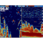 GSD™ 24 Advanced Sonar Module – Fishing & Sonar | Marine Overhauling Florida