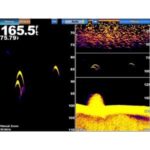 GSD™ 24 Advanced Sonar Module – Fishing & Sonar | Marine Overhauling Florida