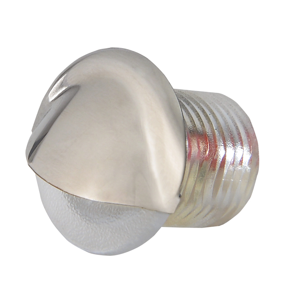 Lumitec Aruba - Courtesy Light - Polished SS Finish - White Non-Dimming Lumitec Aruba - Courtesy Light - Polished SS Finish - White Non-Dimming - Image 1